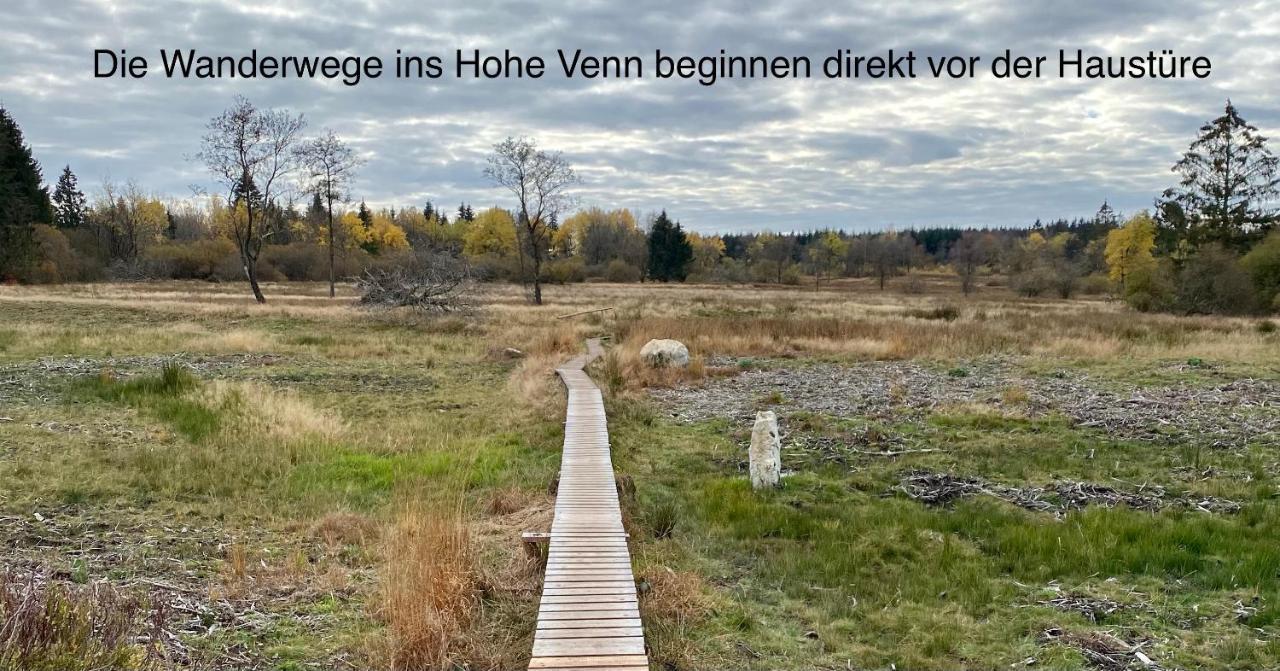 Hof Vierzehnender Im Hohen Venn - 70Qm Fachwerk-Studio - Grosses Wohn-Schlafzimmer Mit Dachterrasse Und Kaminofen - Separate Kueche - Perfekt Fuer Paare - Monschau - Eifel - Hunde Willkommen - Islandpferde Eksteriør bilde