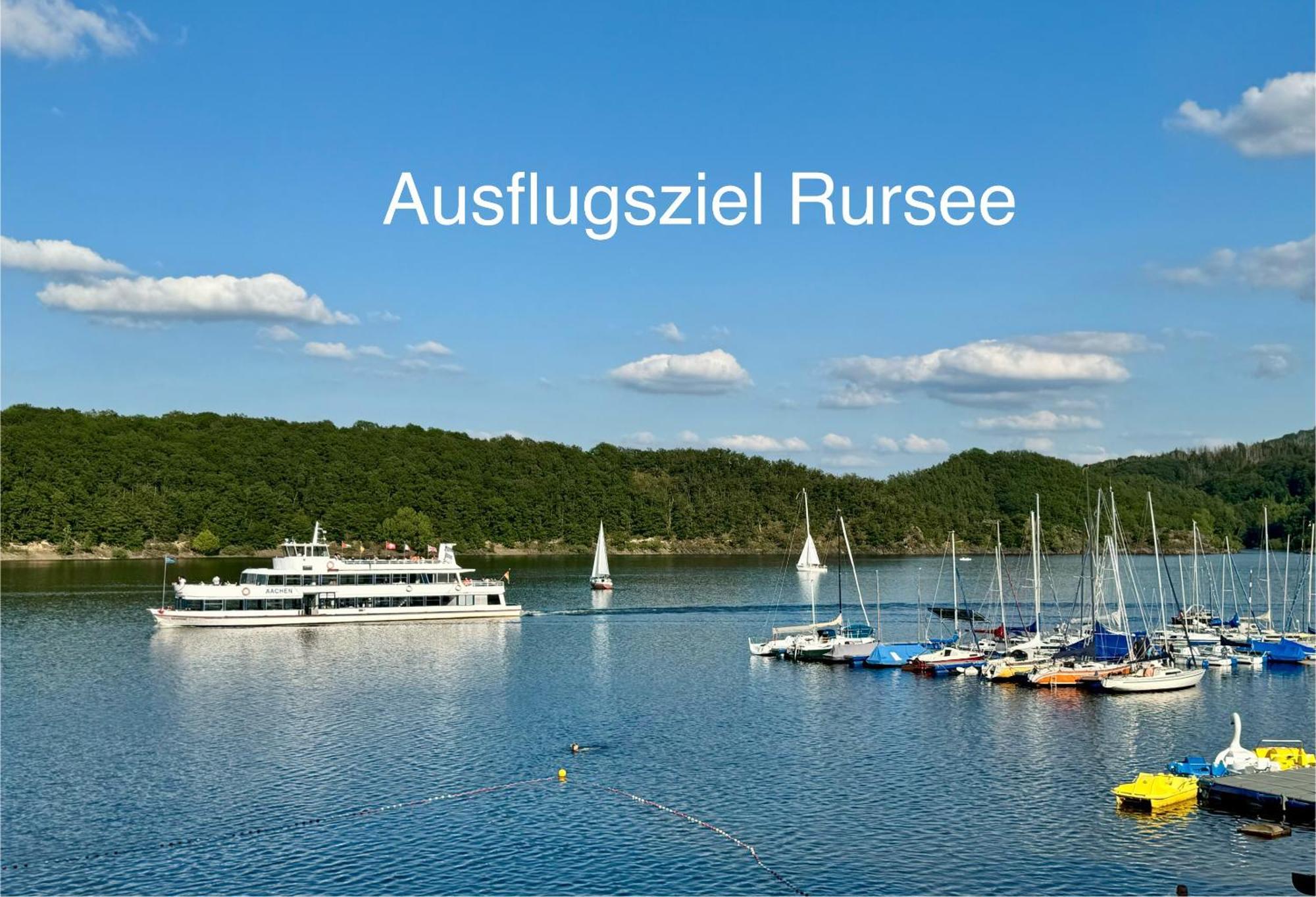 Hof Vierzehnender Im Hohen Venn - 70Qm Fachwerk-Studio - Grosses Wohn-Schlafzimmer Mit Dachterrasse Und Kaminofen - Separate Kueche - Perfekt Fuer Paare - Monschau - Eifel - Hunde Willkommen - Islandpferde Eksteriør bilde